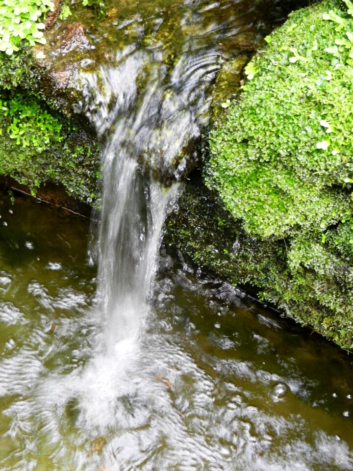 Liquid swim nature