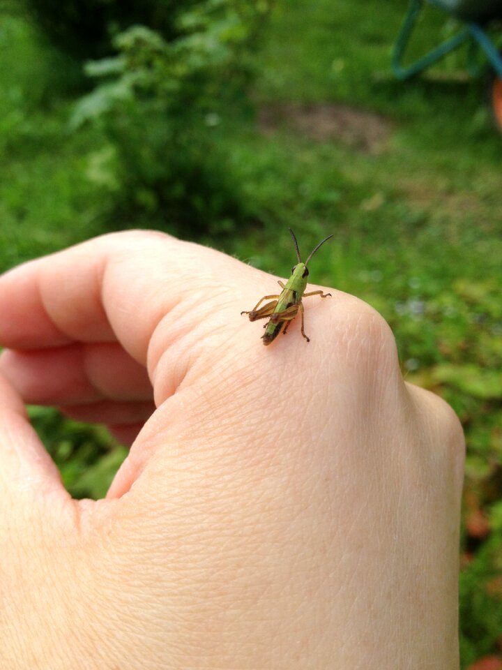 Hand little beautiful