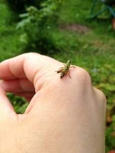 Hand little beautiful