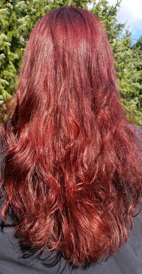 Locke hairstyles woman