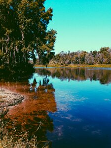 Usa view fl