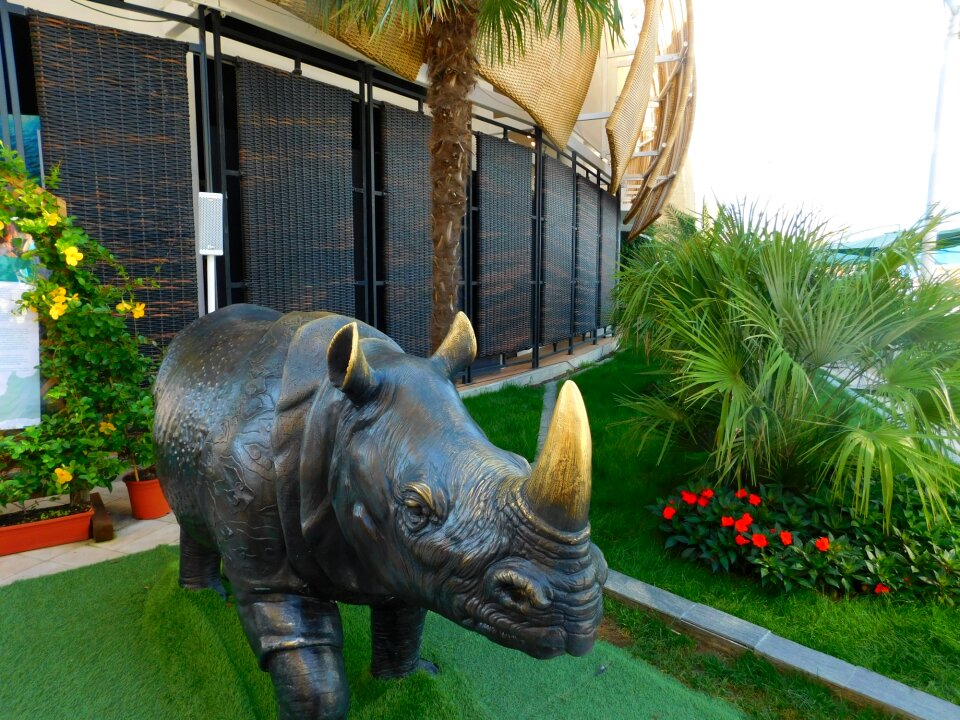 Rhino indonesia pavilion
