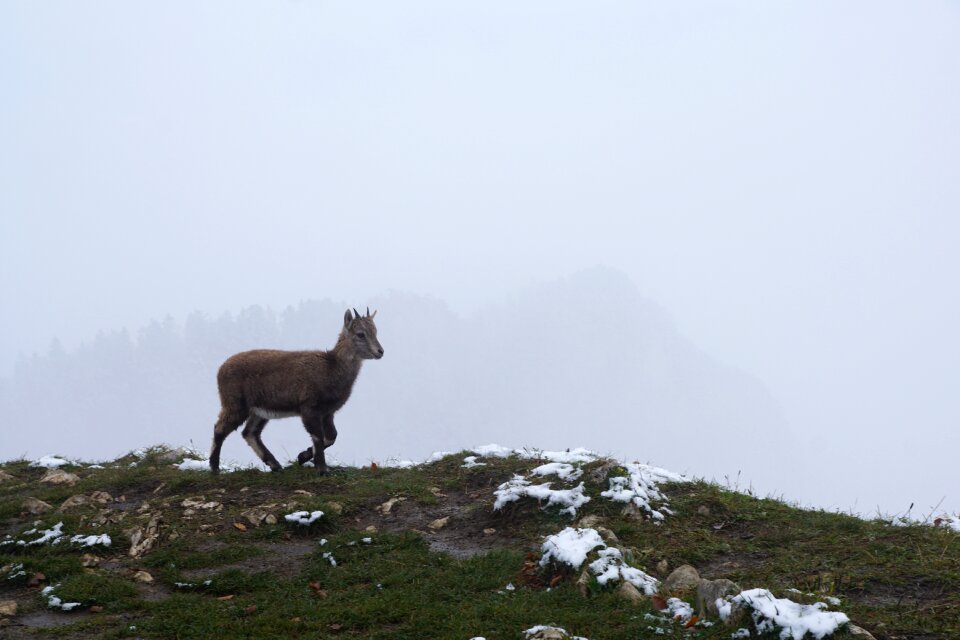 Creux du van switzerland eat