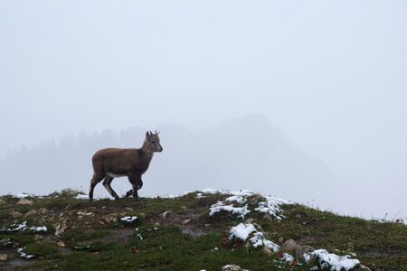 Creux du van switzerland eat