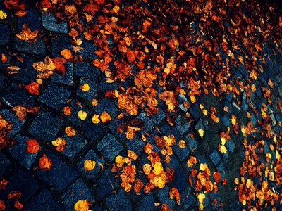 Paving path ground