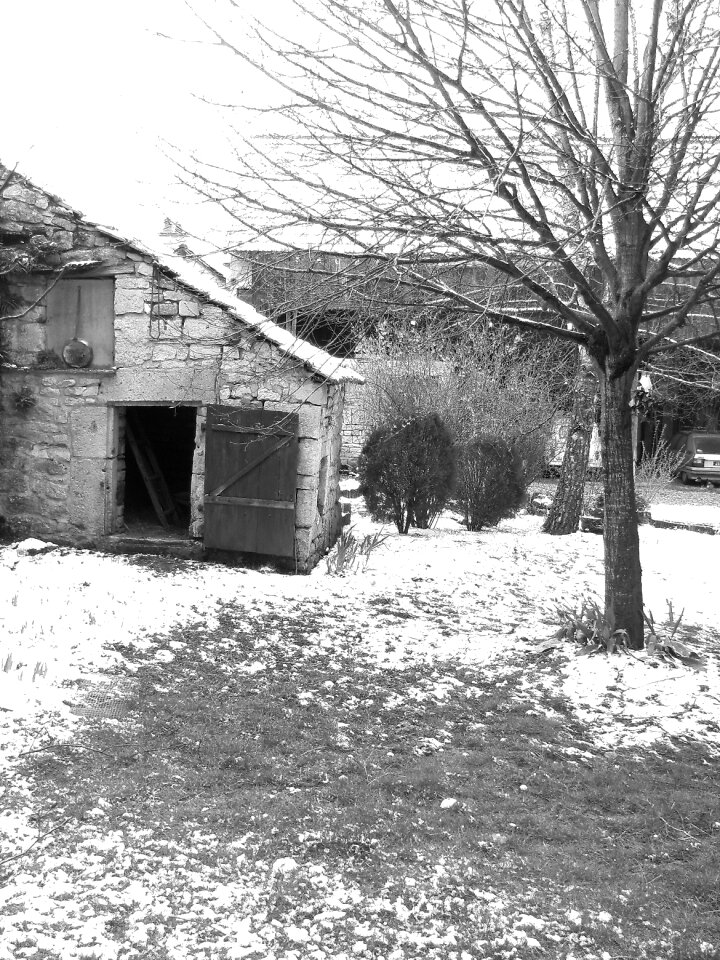 Garden snow december