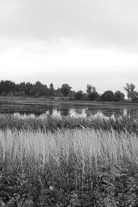 Vulkaneifel autumn water reflection