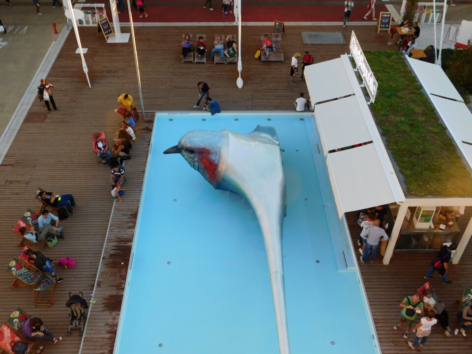 Czech republic pavilion pool