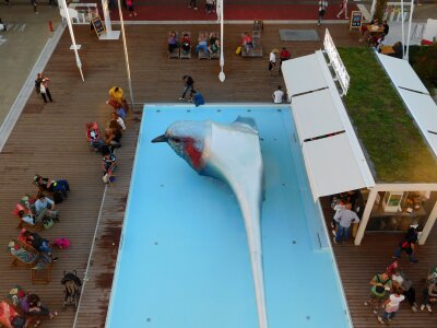 Czech republic pavilion pool