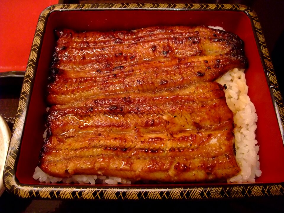 Eel japanese food food