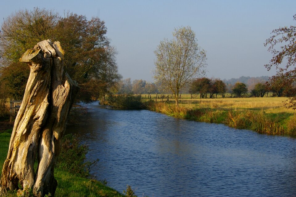 Tree stream environment