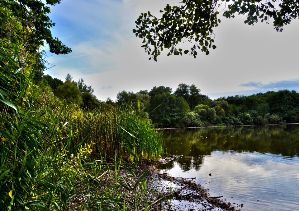 Surface reflection landscape