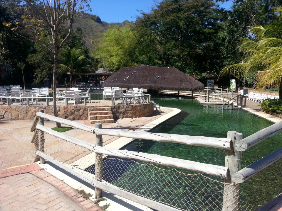 Pool wood nature