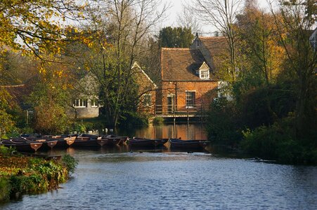 Nature house landscape