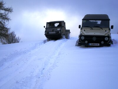 Auto haflinger snow