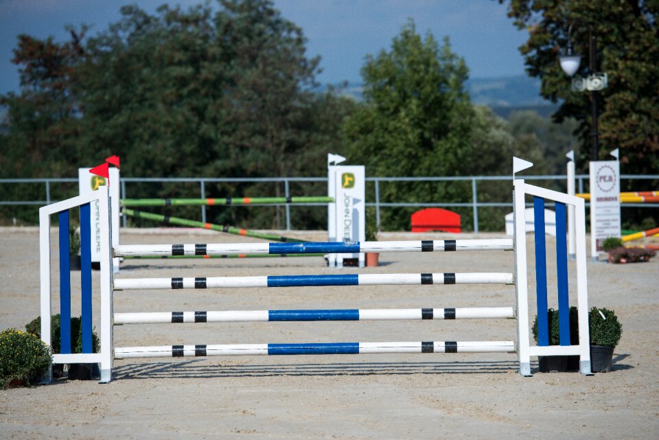 Race jumping slovakia