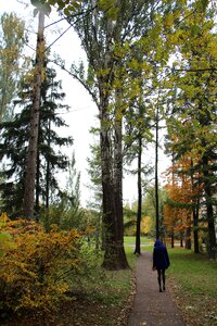 Nature leaves park