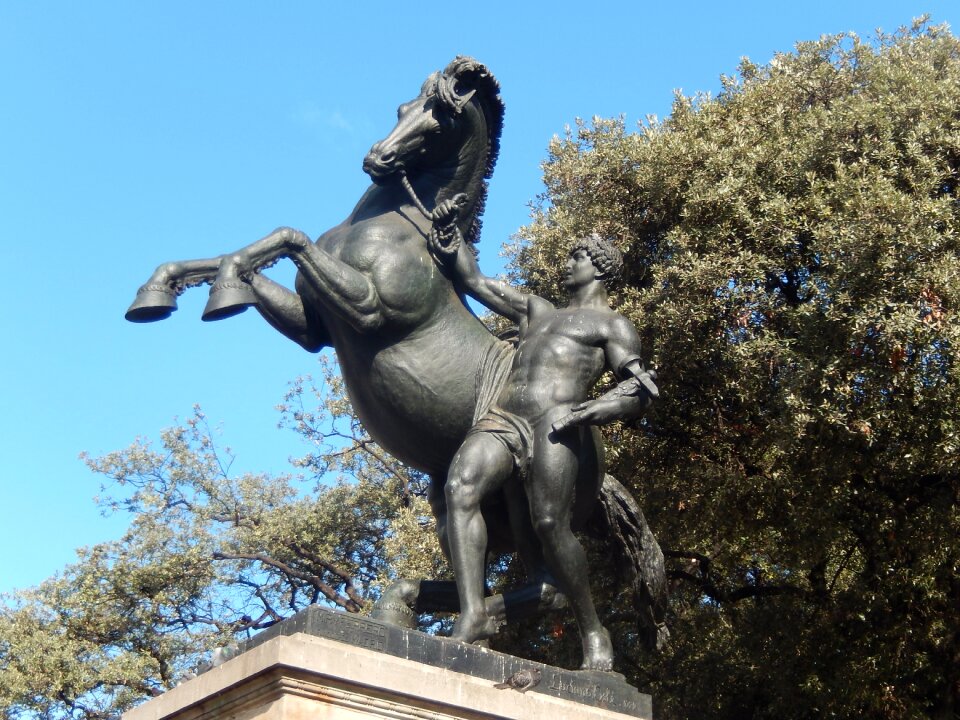 Plaça de catalunya miguel osle wisdom