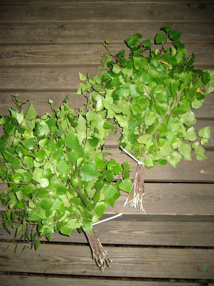 Sauna birch twig midsummer