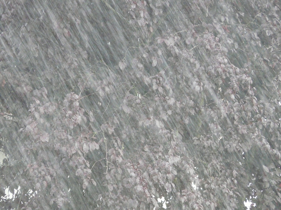Shiver wet water