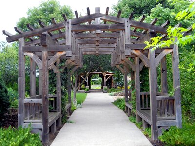 Decoration wooden backyard