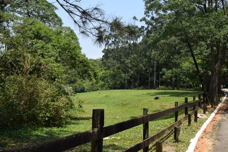 Freedom rural zone park