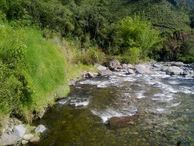Spring water river