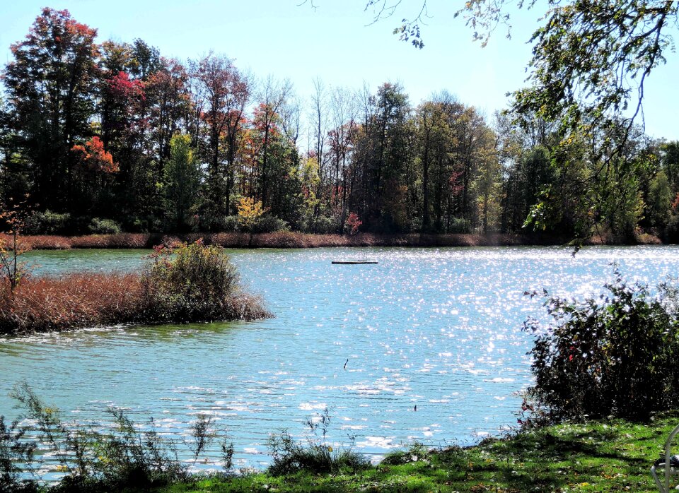 Fresh water autumn colors