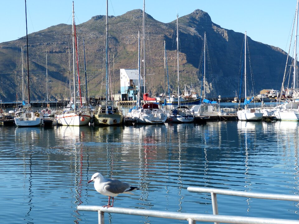 Cape peninsula sea ocean