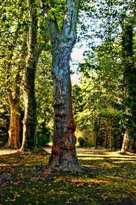 Landscape park sanssouci potsdam