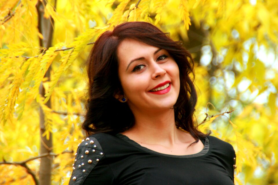 Yellow leaves beauty