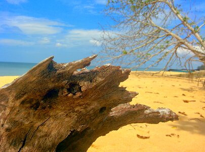 Sand water ocean photo