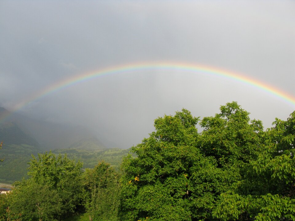 Rainbow sky trees
