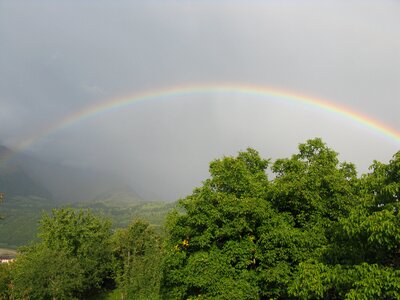 Rainbow sky trees