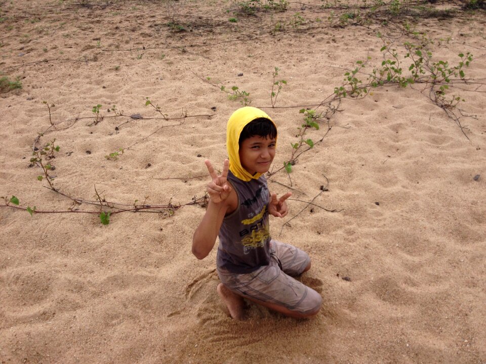 Sand reproduction beach