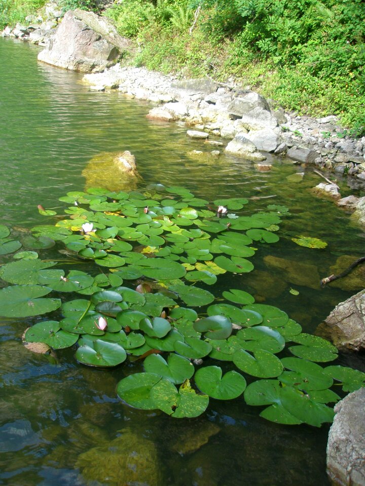 Quarry baden baden lake
