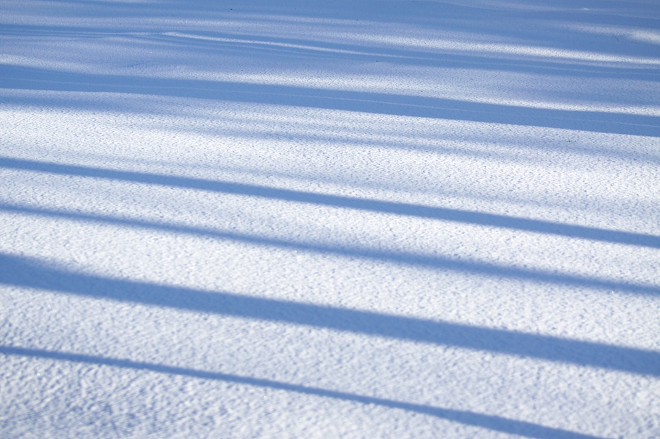 Season frost ice photo