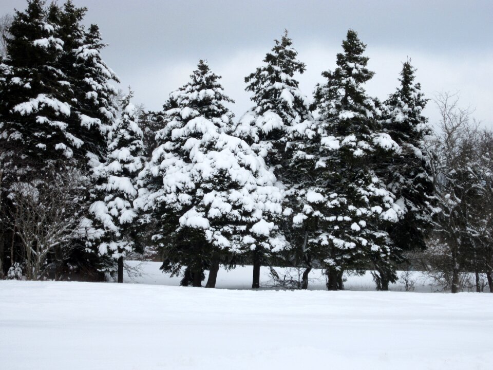 Season landscape nature