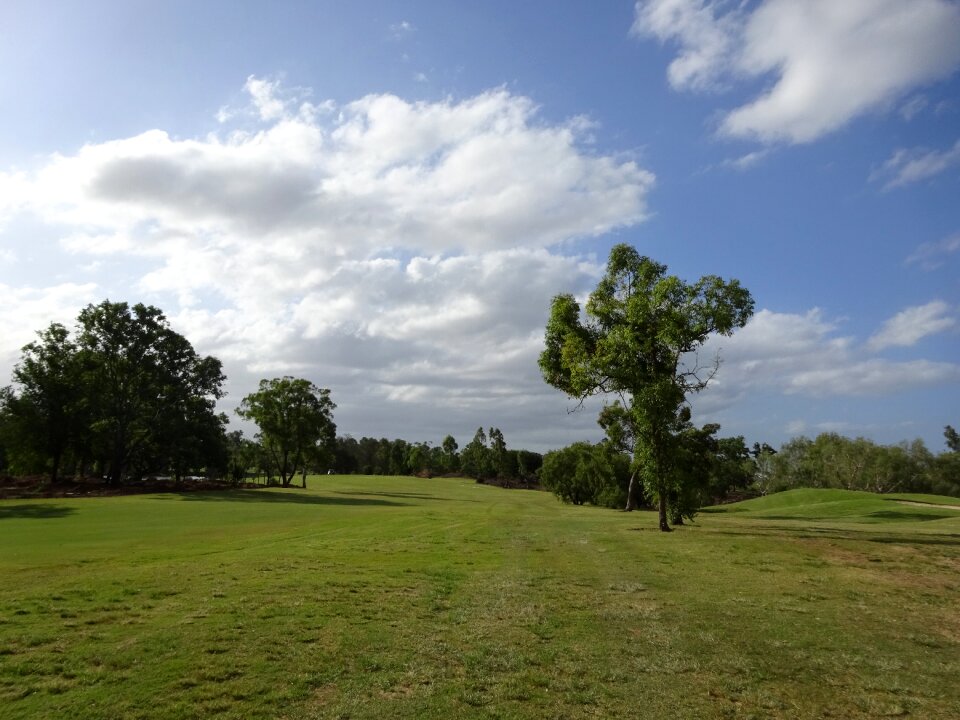 Golfing grass golf clubs