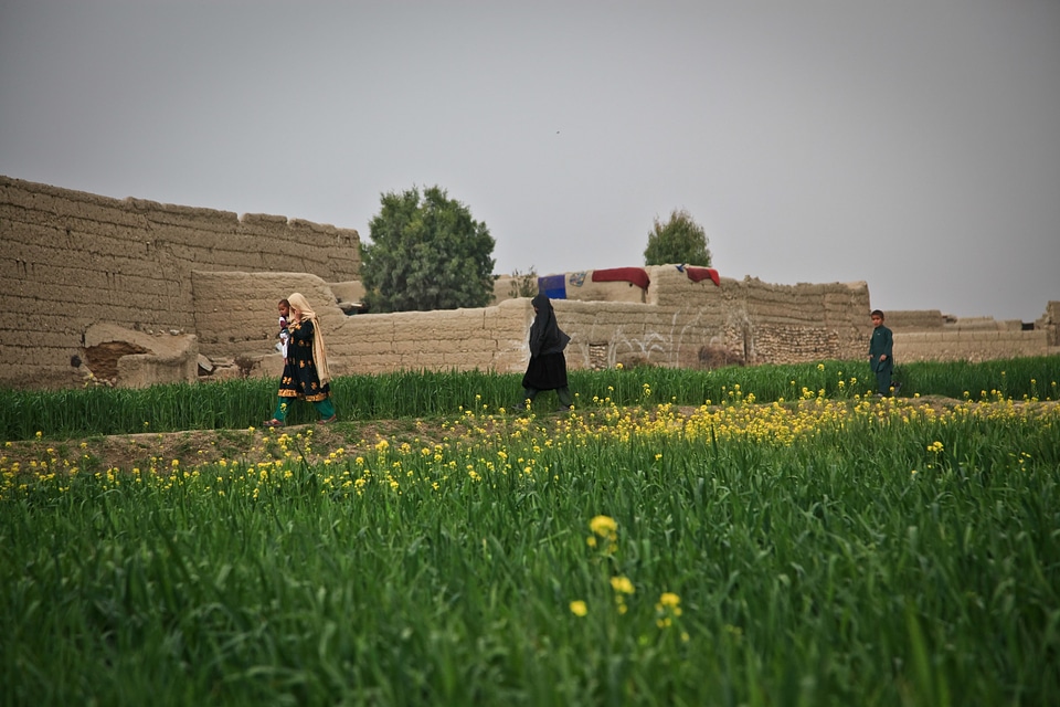 Village nature farming