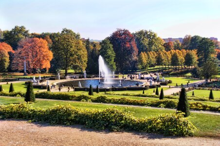 Potsdam garden trees