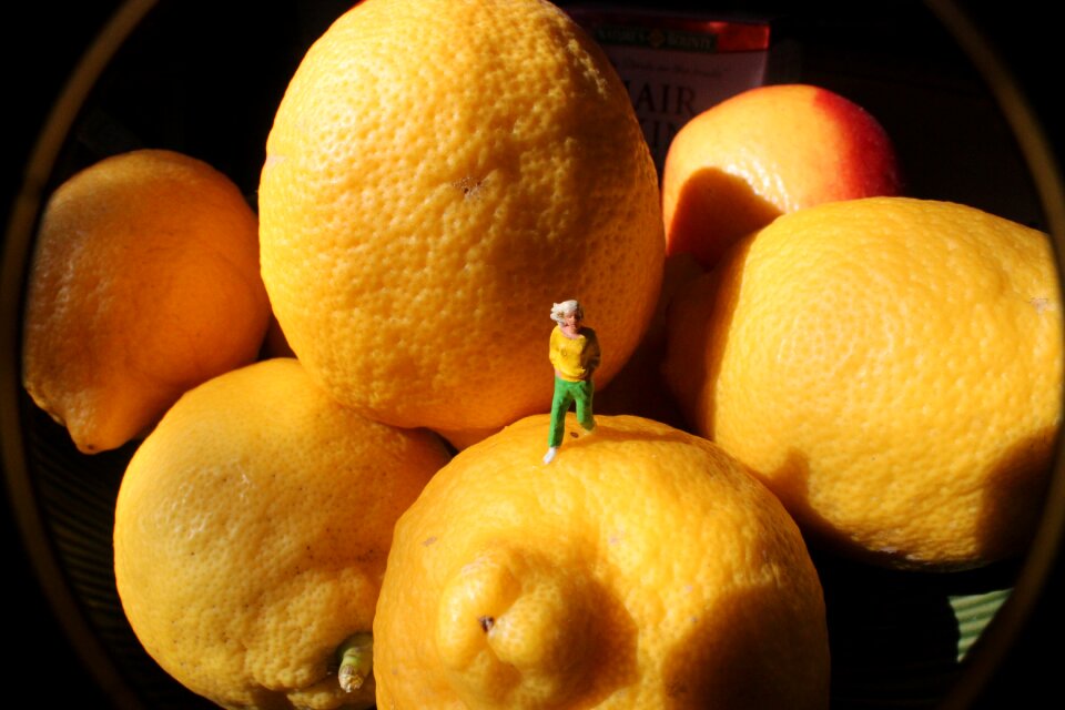 Fruit people