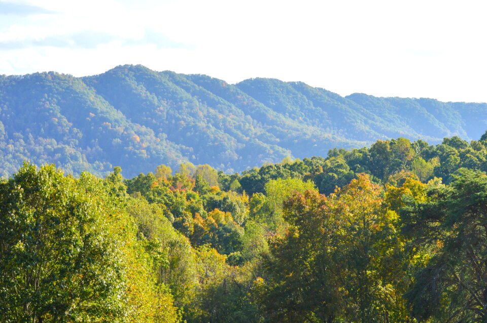 Fall foliage landscape nature