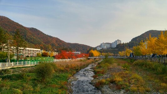 Landscape autumn leaves rivers