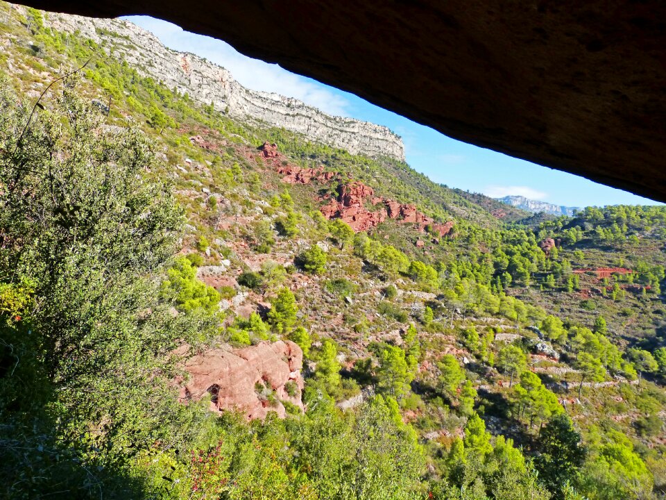 View montsant priorat