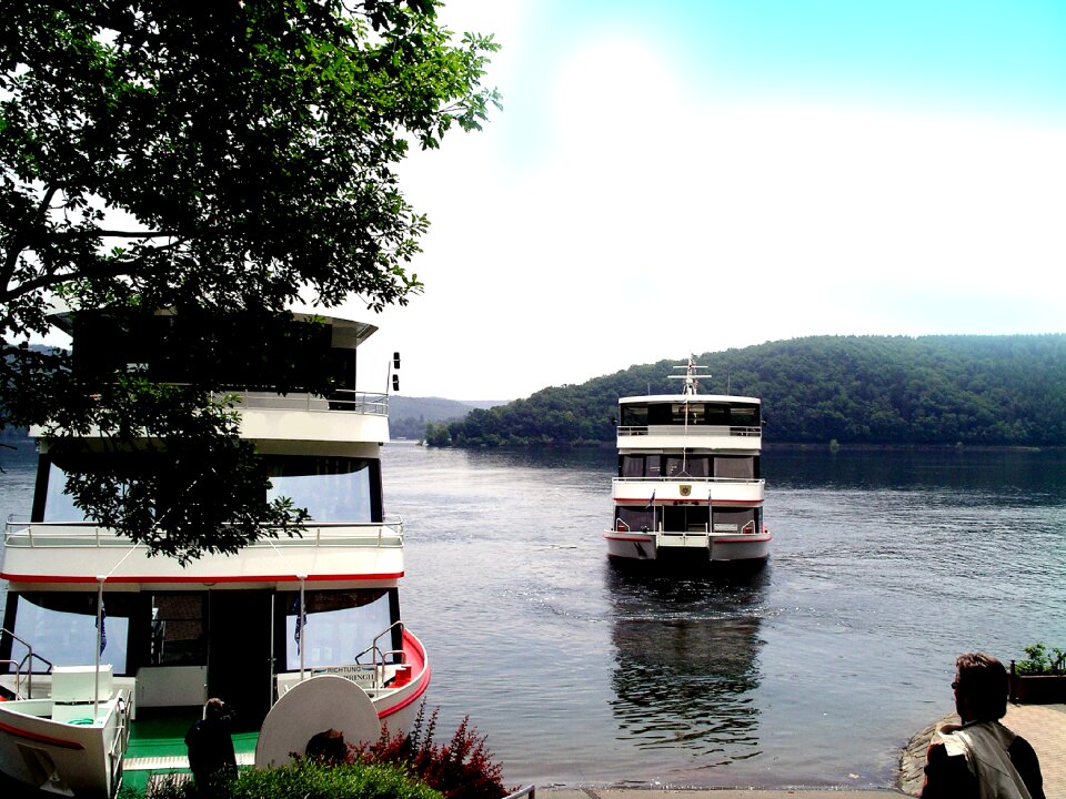 Return journey water tree