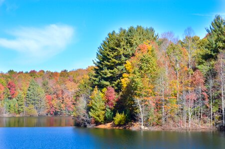 Fall foliage landscape nature photo