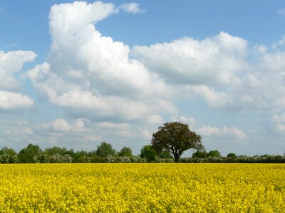 Sky landscape fields