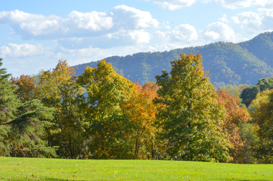 Fall foliage landscape nature photo