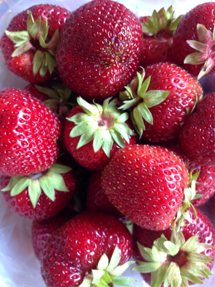 Strawberry fruit fresh
